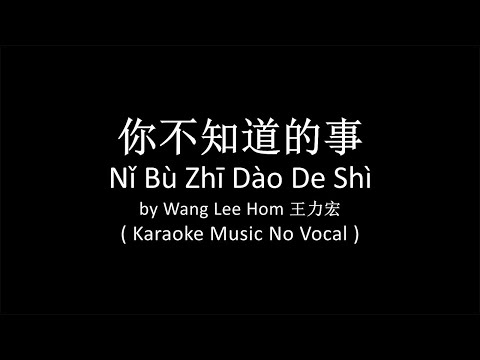 你不知道的事 Ni Bu Zhi Dao De Shi - Wang Lee Hom 王力宏 ( Karaoke No Vocal Lower Key ) OST. Love In Disguise
