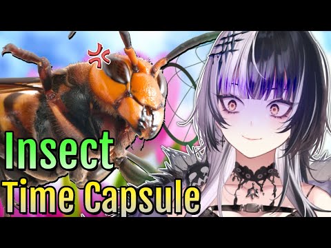 Mystery Bug Unveiling: Insect Life Excavation!