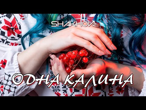 SHAKHOV - Одна калина [Official Mood Video]