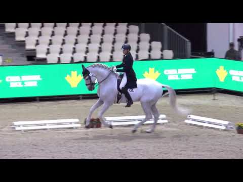 Lucius de Martet (Armas Felino) Final Copa ANCCE SICAB 2022 Nivel San Jorge