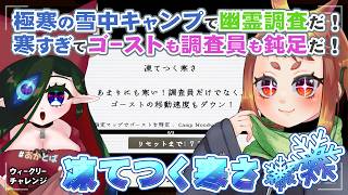 【 #Phasmophobia  】　ここ（ミニキャンプ）を避暑地とする！！！！！！！🌱🧿　【 ウィークリー：凍てつく寒さ 】