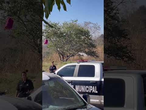 Ejecutan a un adolescente en la colonia San Martín de las Flores de Arriba en Tlaquepaque