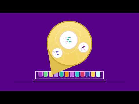 Scalable Single Cell Sequencing Without the Instrument | Evercode split-pool combinatorial barcoding