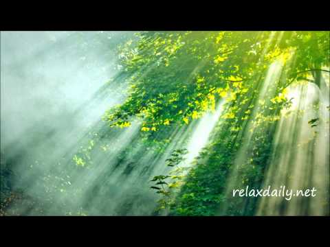 Relaxing Piano Music - work, study, meditation - relaxdaily N°045