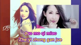 16 Veranos Tema de Entrada Lyrics (Elva Hsiao - Romance Strikes)