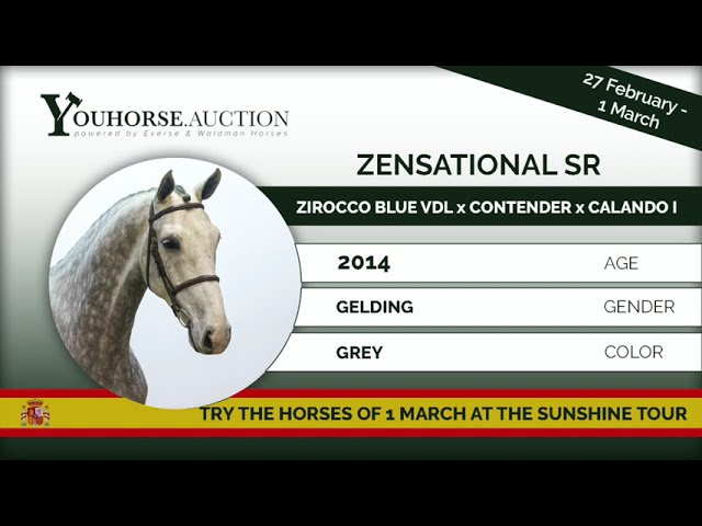 Zensational SR showing 7 years Spain