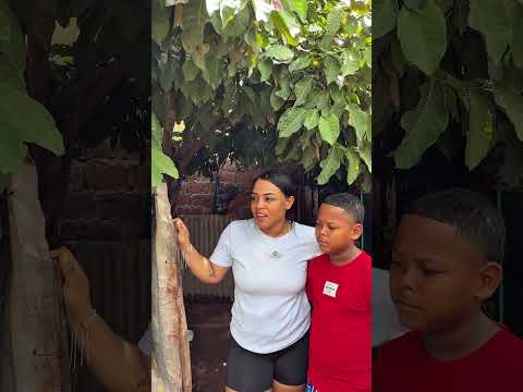 Cuándo le pegan a mi hijo en la calle #humor #comedia #reelschallenge ￼