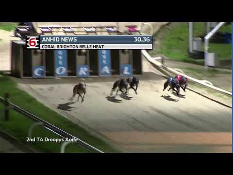 2020 CORAL BRIGHTON BELLE - HEAT 1 - T6 ANHID NEWS