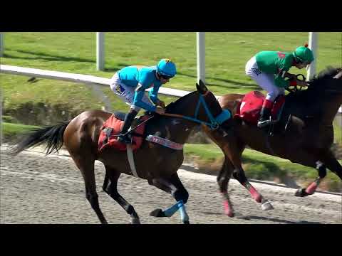 221230 c03 UN MILAGRO GG