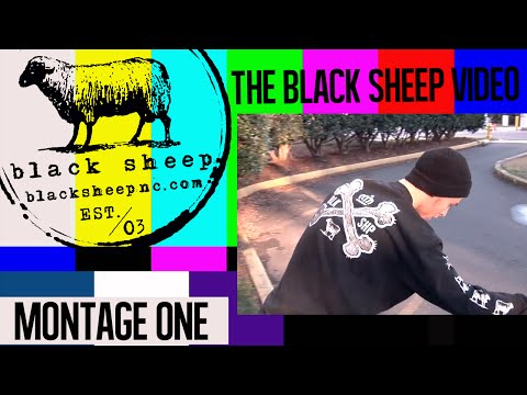 Image for video The Black Sheep Video - Montage One