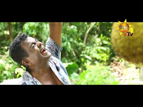 Hiru TV