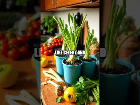 Innovative Gardening Hacks for Urban Dwellers