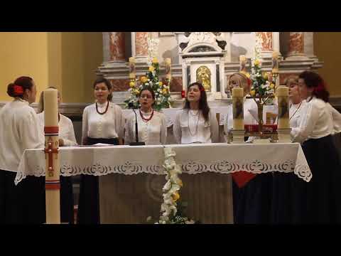 KLAPA NAVA -  NE PITAM TI BISER ZLATO