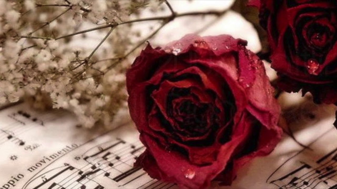 Que Nunca Me Falte - Ricardo Tanturi - Enrique Campos - (1943)