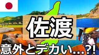 【意外と遠い】日本一広いの離島を1泊2日レンタカー無しで観光するとこうなります【佐渡島】