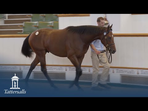 Tattersalls October Yearling Sale Book 2 2021 Day 2 Review