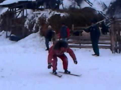 schiori din chetris pe lutarie