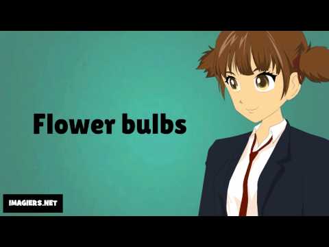 How to pronounce # Flower bulbs
