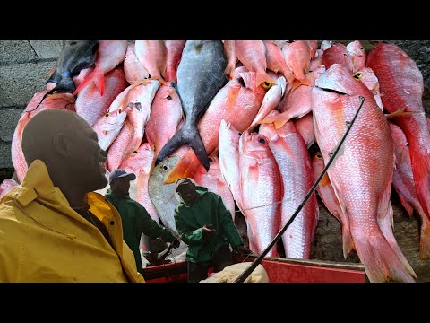 Day two and the pager Bank offshore Deepwater fishing and then this happened bad weather