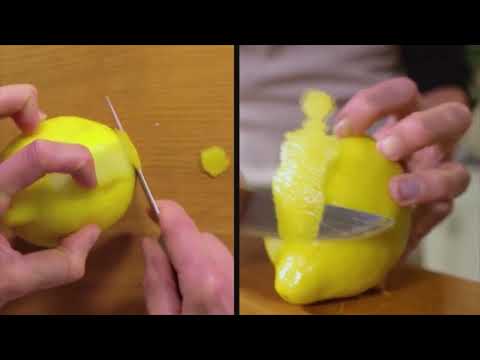 download lagu mp3 mp4 Lemon Peel Zest, download lagu Lemon Peel Zest gratis, unduh video klip Lemon Peel Zest