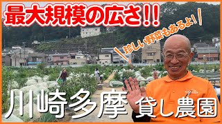 動画でご紹介