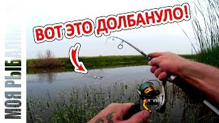 Поверхностная приманка - своими руками
