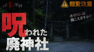【閲覧注意】呪われた廃神社でそれは起きてしまった。