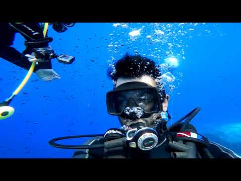 Dive Serpentara Sardegna Villasimius