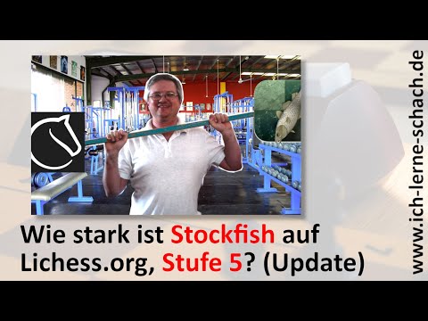 Wie stark ist Stockfish auf Lichess, Stufe 5? (Update)