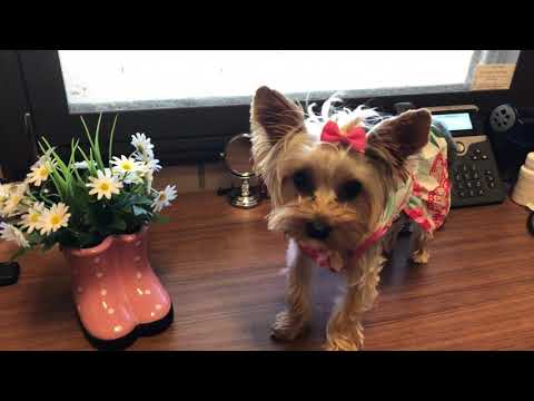 Makai's Fashions - Series 1