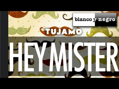 Tujamo - Hey Mister (Official Audio)