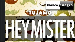 Tujamo - Hey Mister (Official Audio)