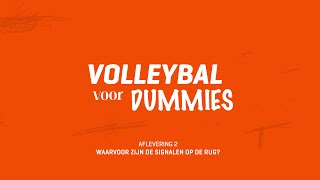 Volleybal voor Dummies — Waarvoor zijn de signalen op de rug?