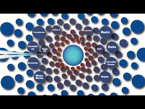 Animation Feast video.