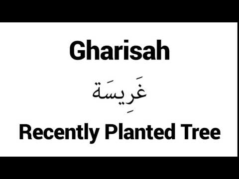 How to Pronounce Gharisah! - Middle Eastern Names