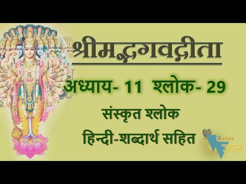 Shloka 11.29 of Bhagavad Gita with Hindi word meanings