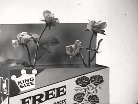 P&G - Ivory Snow - Free Plastic Flowers - Vintage Commercial - 1950s - 1960s