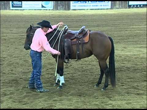 Training horse not to walk off when mounting - Clinton Anderson