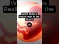 What Babies HEAR In WOMB Sound ON Fetus