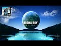Burna Boy - Cheat On Me (8D Audio) ft. Dave