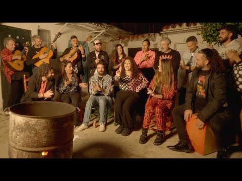 VILLANCICO FLAMENCO JALEO 2025 | JALEO SHIRTS ®