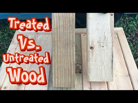 Journey to the Temple: Treated vs. Untreated Wood
