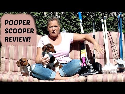download lagu mp3 mp4 Pooper Scooper, download lagu Pooper Scooper gratis, unduh video klip Pooper Scooper