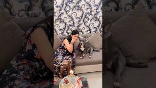 last year Rakhi celebration 🤩❤️ #rakshabandhan #dailyvlog #ytshorts #rakhi rakhi