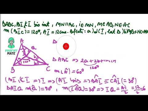 Problemă-triunghi, bisectoare