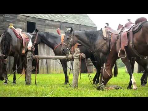 "I Lost My Horses To The Moon"