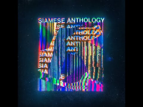 19:26, Animal Picnic – XX