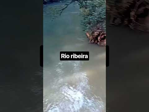 Rio ribeira imbituva parana