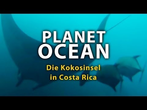 Planet Ocean - Die Kokosinsel in Costa Rica (2011) [Dokumentation] | Film (deutsch)