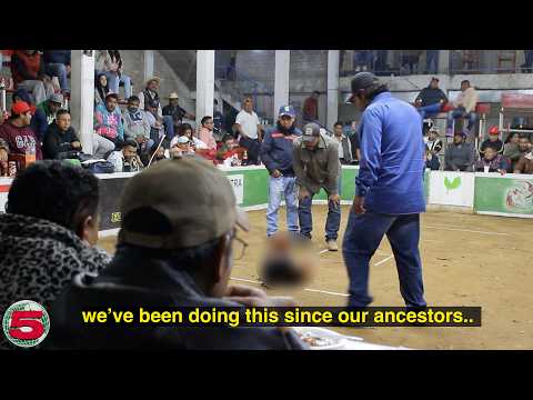 The Brutal Cockfights of Rural Mexico